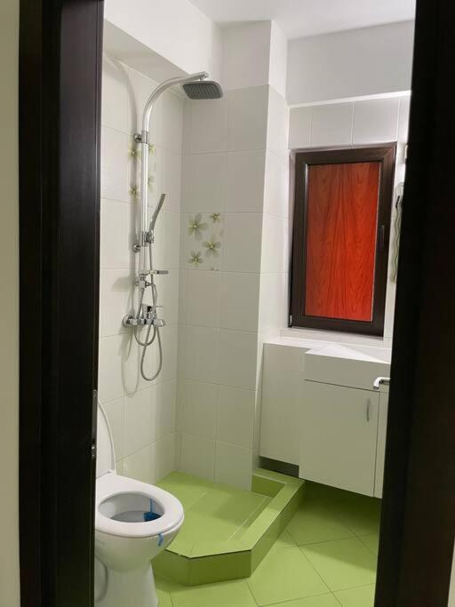 Apartament 2 Camere Baneasa ブカレスト エクステリア 写真