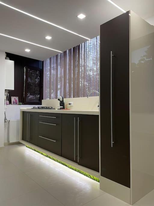Apartament 2 Camere Baneasa ブカレスト エクステリア 写真